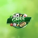 GN55